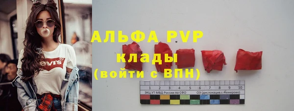 крисы Медвежьегорск