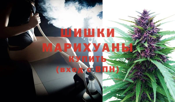 Альфа ПВП Медногорск