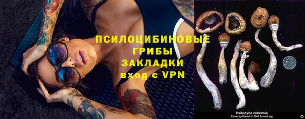 стаф Мегион