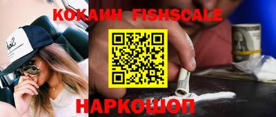гашик Дубна