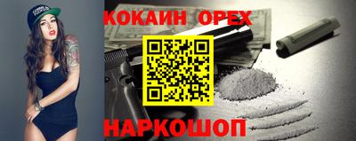 гашик Дубна