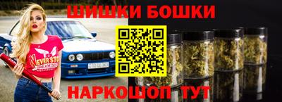 гашик Дубна