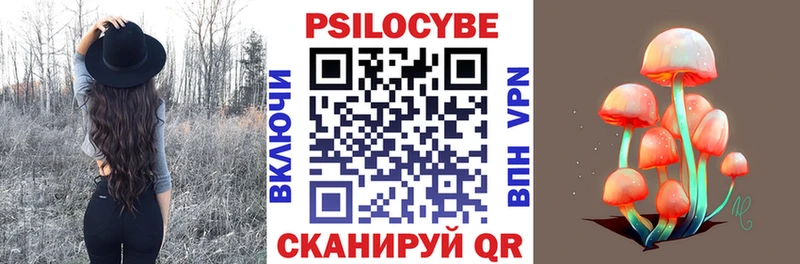 Галлюциногенные грибы Cubensis  кракен вход  Малгобек  закладки 