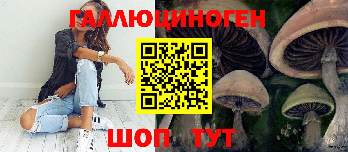 Малгобек  где продают   Вход с VPN  Псилоцибиновые грибы Magic Shrooms 